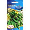 Hybrid Einlegegurken-Samen Premium - Berakóuborka...