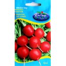 Radieschen-Samen "Riesenbutter" - Retek...
