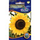 Blumen-Samen - Sonnenblumen "Helianthus Annuus" 2g