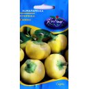 Apfelpaprika-Samen - Almapaprika csipös (Scharf) 0,4g